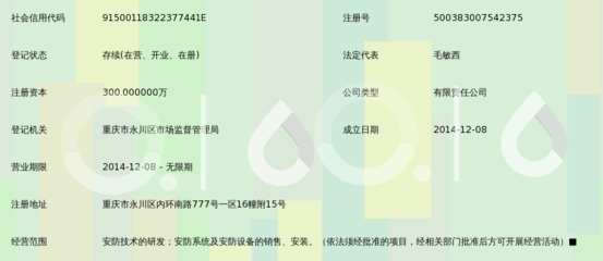 重庆中谍安防科技